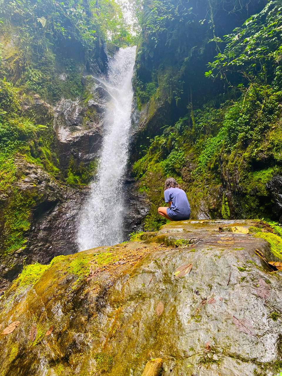 Cabaña en la selva
